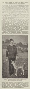 Tommy, Pet Deer fra 4. Bataljon Worcestershire Regiment af English Photographer