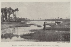 Mod Sakkara af English Photographer