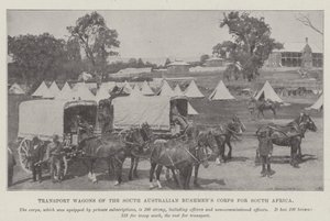 Transportvogne fra South Australian Bushmens Corps til Sydafrika af English Photographer