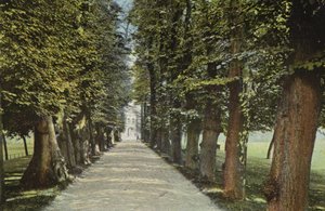 Trinity College, The Avenue af English Photographer