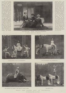 Hvad dronningen så på Balmoral af English Photographer