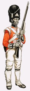 92. Foot Grenadier 1815 af English School