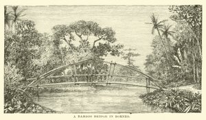 En bambusbro i Borneo af English School