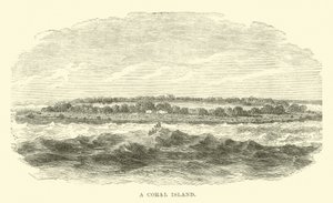 En koralø af English School