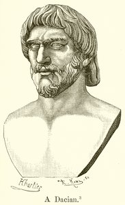 En Dacian af English School