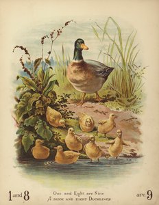 En and og otte ællinger (chromolitho) af English School