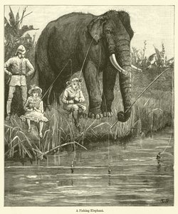 En fiskeelefant (gravering) af English School