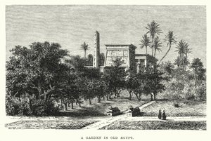 En have i det gamle Egypten (gravering) af English School