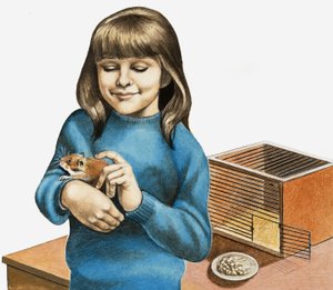 En pige og hendes hamster af English School