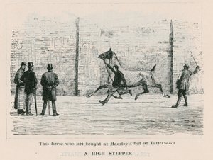 Ein Hochspringer - dieses Pferd wurde nicht bei Hamleys, sondern bei Tattersalls gekauft von English School