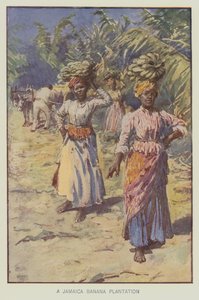En bananplantage på Jamaica (farvelitografi) af English School