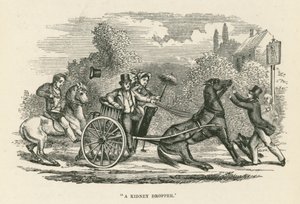 "En nyredråber" (gravering) af English School