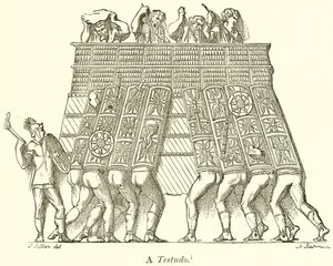 Til Testudo af English School