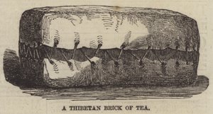 En thibetansk teglans (gravering) af English School