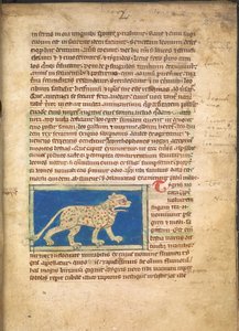 En tiger, fra Sloane 3544, f.2 (pergament) af English School