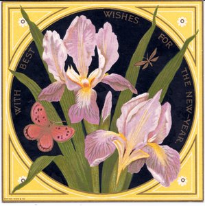 Eine viktorianische Neujahrskarte mit Iris und Schmetterling, ca. 1880 von English School