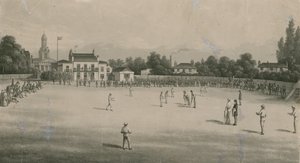 Ein Cricketspiel