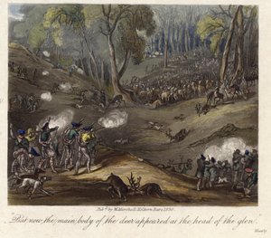 En hjortejagt af English School