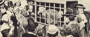 En dodo, der udstilles i det syttende århundredes England (litho) af English School