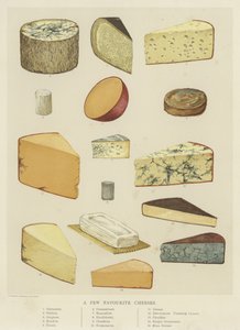 Einige Lieblingskäse von English School