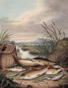 En god dags fiskeri (farvegravering) af English School