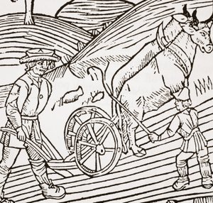 Et par okser bundet til en plov, titelblad fra John Fitzherberts Boke of Husbandry, første pub. 1523 af English School