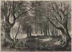 Udsigt i Epping Skov af English School