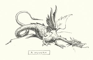 A wyvern (engraving) af English School