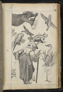 Tilføj MS 32496 f.49r Illustration fra 
