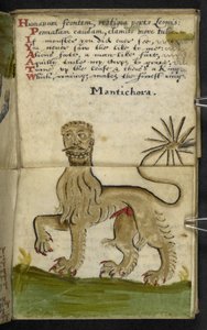 Tilføj MS 57312 f11 spilbog (blæk og farve på pergament) af English School