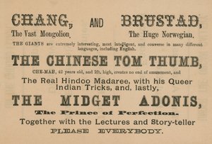 Annoncer for optrædener af Chang, Brustad, The Chinese Tom Thumb og The Midget Adonis af English School