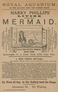 Annonce for Harry Phillips Living Mythological Mermaid af English School