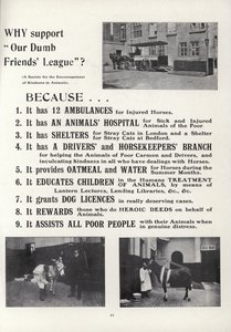 Werbung für Our Dumb Friends League von English School