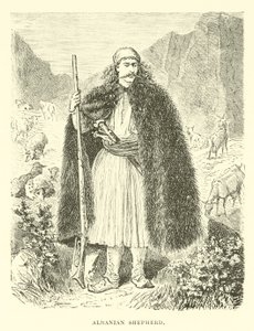 Albansk hyrde af English School