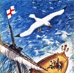 Albatros af English School