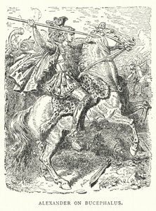 Alexander på Bucephalus (kobberstik) af English School