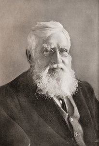 Alfred Russel Wallace, fra 