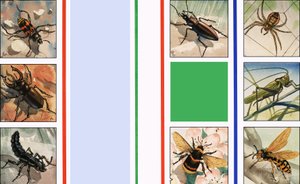 Alle mulige insekter af English School