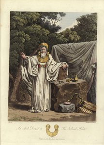 En ærkedruide i sin retslige vane af English School