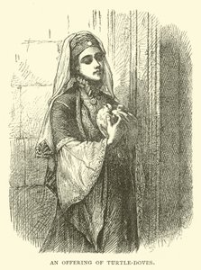 Et bud på turtelduer af English School