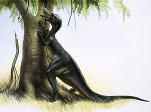 Anatosaurus af English School