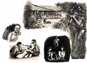 Ancient Peoples of the World: Blowpipe Hunters of Borneo af English School