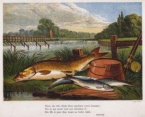 Lystfiskers fangst af fisk på en flodbred (farvet indgravering) af English School