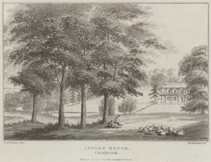 Angley hus