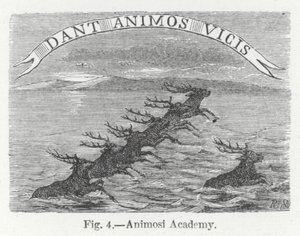 Animosi Academy (gravering) af English School