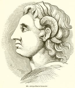 Antik hoved af Alexander af English School