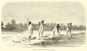 Antis-indianere, der skyder fisk af English School