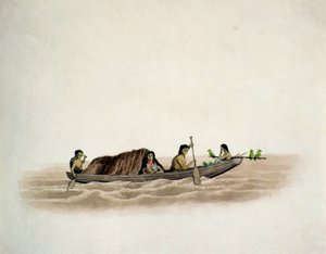 Arawak Indian-Demerara (wc på papir) af English School