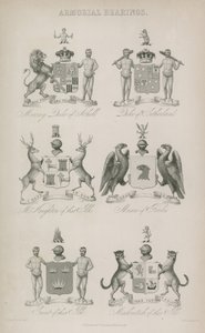 Armorial lejer af English School
