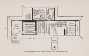 Arrangement af baconfabrik til at håndtere tredive til halvtreds grise om ugen (litho) af English School